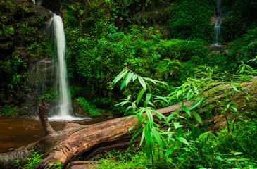 Doi Suphet national park waterfall, Chang Mai,Thailand