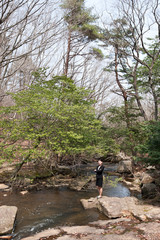 Fototapeta premium 自然の中でリフレッシュするアジアのスーツの女性