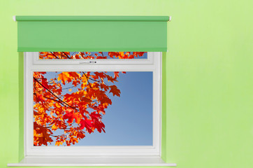 View autumn leaves and blue sky from window