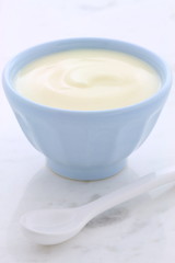 Fresh plain yogurt