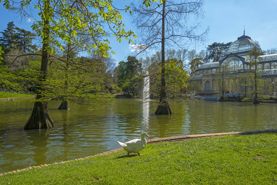 Lake in front of the Crystal Palace in Madrid