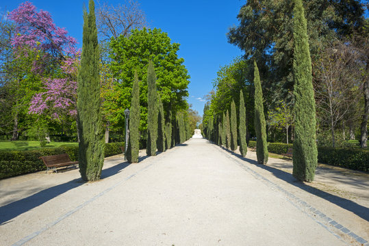 Retiro Park in Madrid in spring