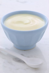 Fresh plain yogurt