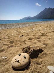 Obraz premium Osterhase am Strand