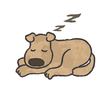 dog sleep cartoon - vector