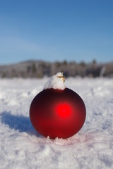 rote christbaumkugel weißer schnee kontrast