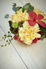 Carnations