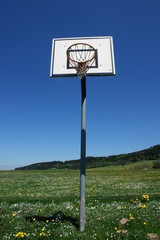 basketballkorb in wiese