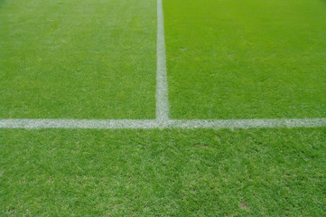 Obraz premium białe oznaczenia na murawie piłkarskiej