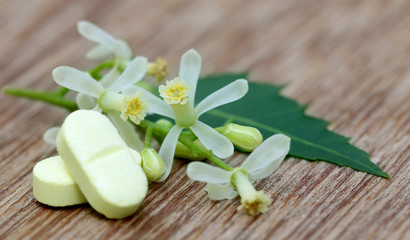 Pills made from medicinal neem