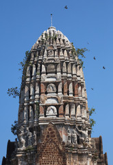 large ancient pagoda and bird fry
