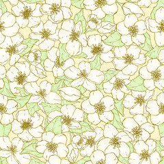 Seamless pattern with cherry blossom flowers.