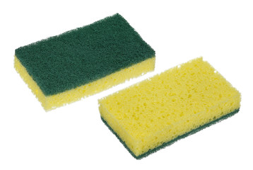 kitchen sponge