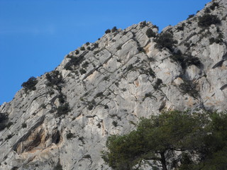 provence