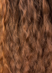 Obraz premium Włosy