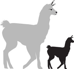 illustration of a llama side view