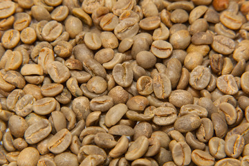 Green coffee beans