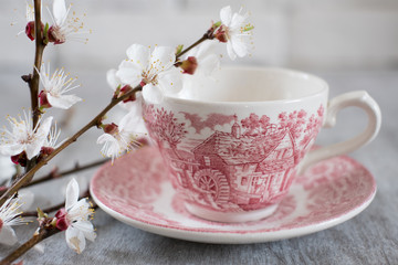 Cup