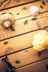 Scented candle sea shells wooden background