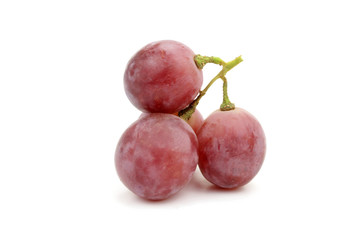 winogrono