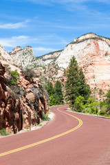 Road in Zion