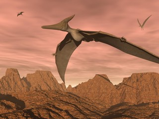 Pteranodon dinosaurs flying - 3D render © Elenarts