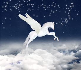 unicorn in the sky © susanafh