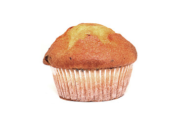muffin isolated