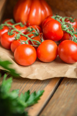 Collection of vegetables. Shallow depth of field.