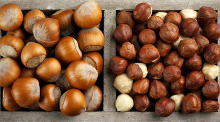 Hazelnuts in wooden box