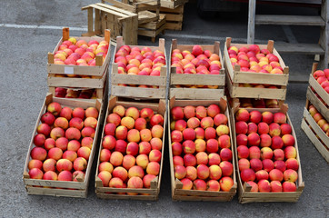 Apples in wooden crates