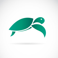 Obraz premium Vector of a turtle design on white background. Animals.