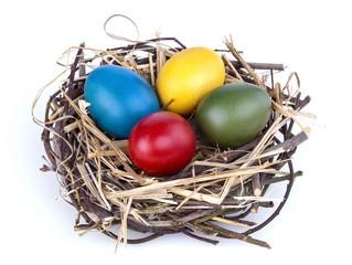 Colourful  Easter eggs in a nest 