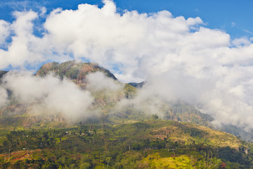 Fototapeta premium Mountains in Sri Lanka