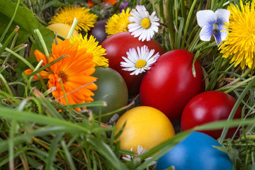 Fototapeta na wymiar Colorful Easter eggs in the grass and flowers