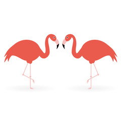 Obraz premium flamingo