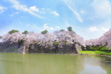 名古屋城の堀