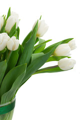 Fototapeta premium bunch of white tulips close up