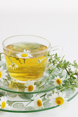 herbal tea of chamomile