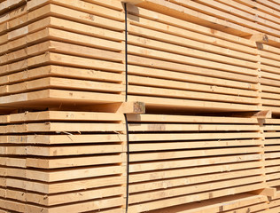 Fresh wooden studs