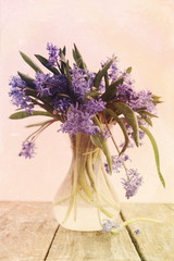 scilla in vase, vintage