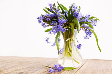 blue snowdrop in vase