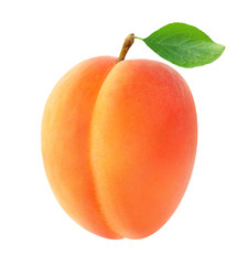 Isolated apricot. One fresh apricot fruit with leaf isolated on white background
