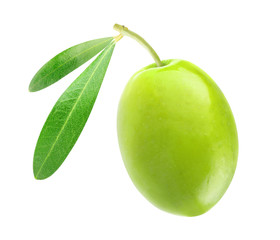 Isolated olive. One green olive fruit with leaf isolated on white background