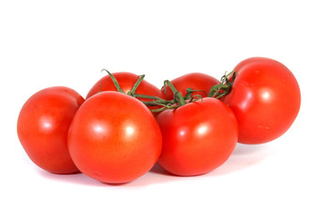 tomatoes isolated