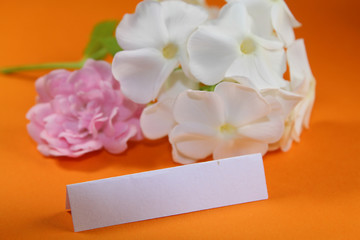 Blumen mit platzhalter für Grußkarten
