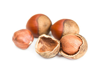 Hazelnuts in shell0
