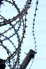 カミソリ有刺鉄線