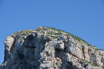 Fototapeta na wymiar klif na Capo Caccia, Alghero, Sardynia, Włochy