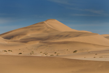 Fototapeta na wymiar Sand Dune fields of Swakopmund